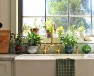 Комнатные растения для кухни: полезные и красивые элементы декора